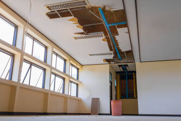 Best 24-hour water damage restoration  in Ilco, WA