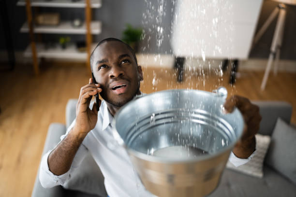 Best Water damage cleanup near me  in Ilco, WA