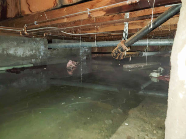 Best Emergency water damage restoration  in Ilco, WA