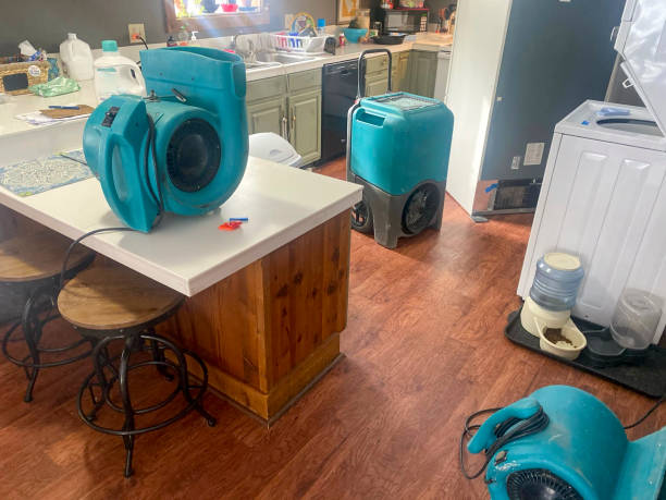 Best Water damage restoration near me  in Ilco, WA