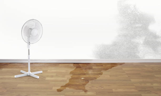 Best Water damage restoration insurance claims  in Ilco, WA