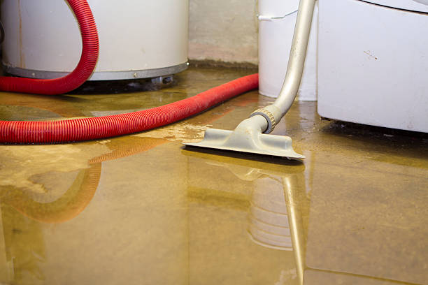 Best 24/7 water damage repair  in Ilco, WA