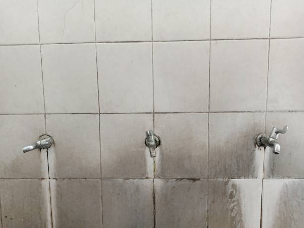 Best Sewage cleanup and water damage restoration  in Ilco, WA