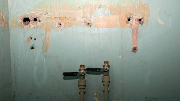 Best Residential water damage restoration  in Ilco, WA