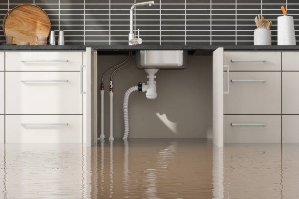 Best Water damage repair service  in Ilco, WA