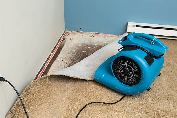 Best Water damage restoration near me  in Ilco, WA